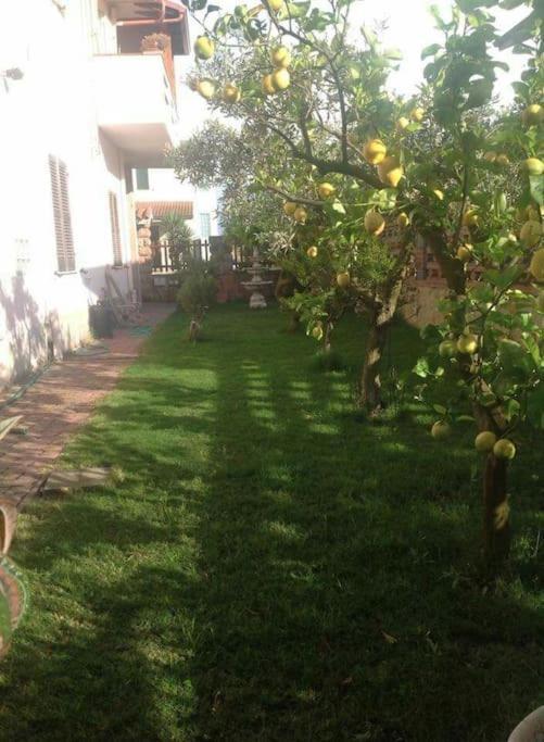 Villa Su Suergiu San Giovanni Suèrgiu Esterno foto